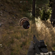 Illustration for article titled Beware Far Cry 5’s Rampaging Turkeys